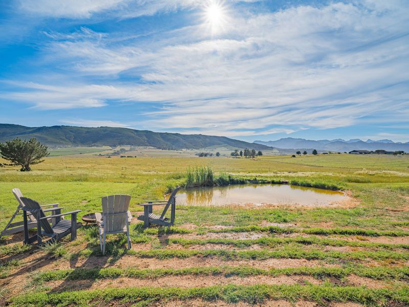 AN ATTRACTIVE LIFESTYLE SMALLHOLDING - Photo 8