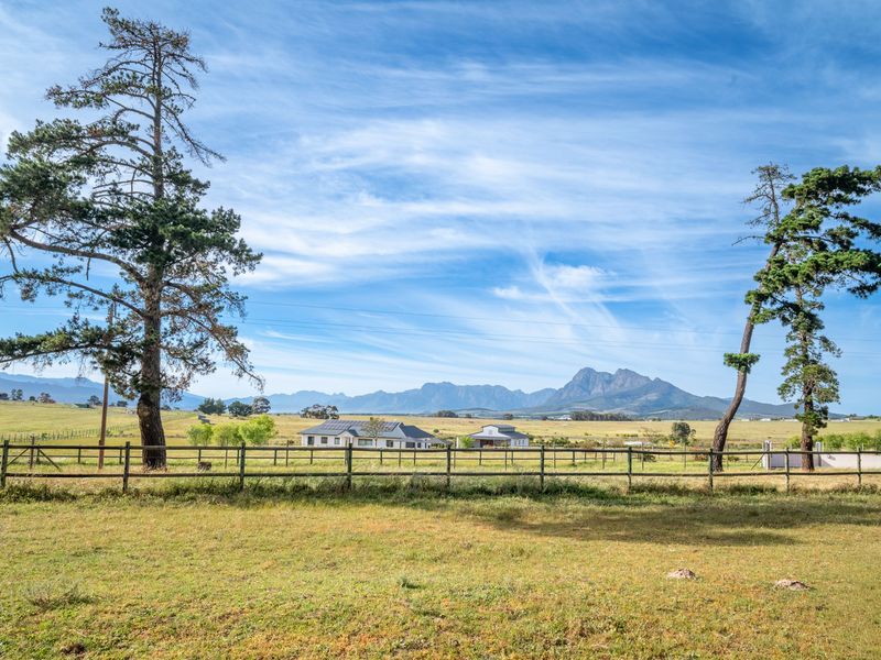 AN ATTRACTIVE LIFESTYLE SMALLHOLDING - Photo 7