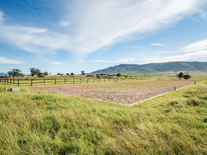 AN ATTRACTIVE LIFESTYLE SMALLHOLDING - Photo 2