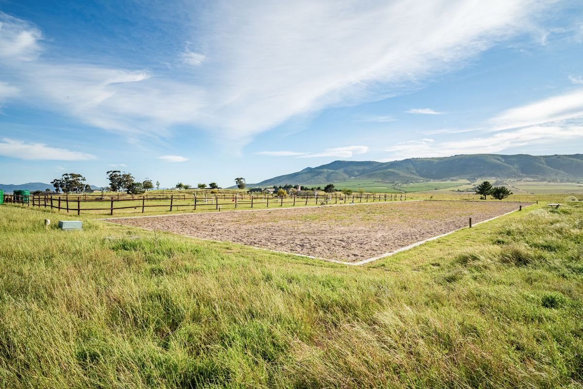 AN ATTRACTIVE LIFESTYLE SMALLHOLDING - Photo 2