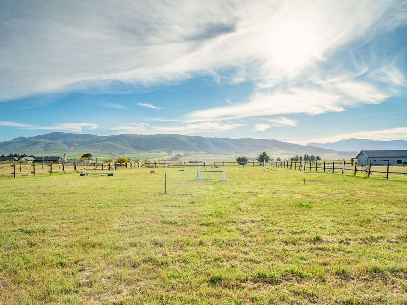 AN ATTRACTIVE LIFESTYLE SMALLHOLDING - Photo 3