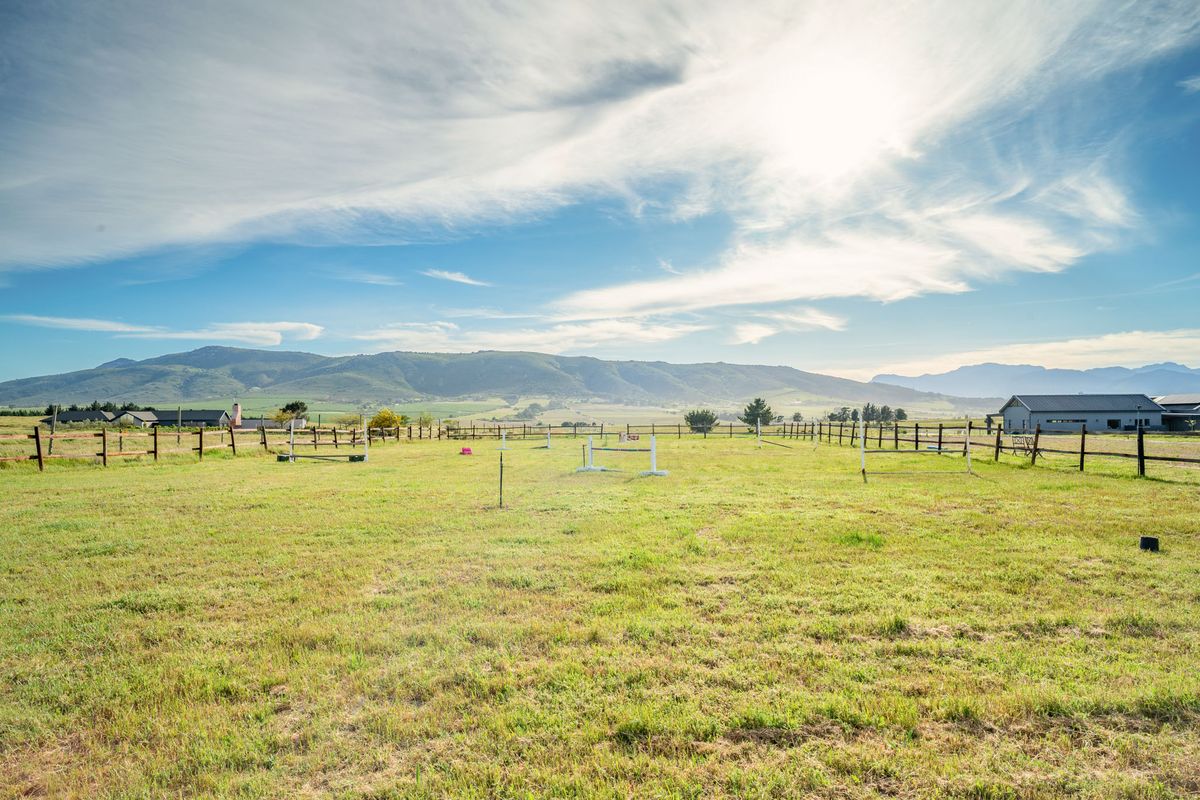 AN ATTRACTIVE LIFESTYLE SMALLHOLDING - Photo 3
