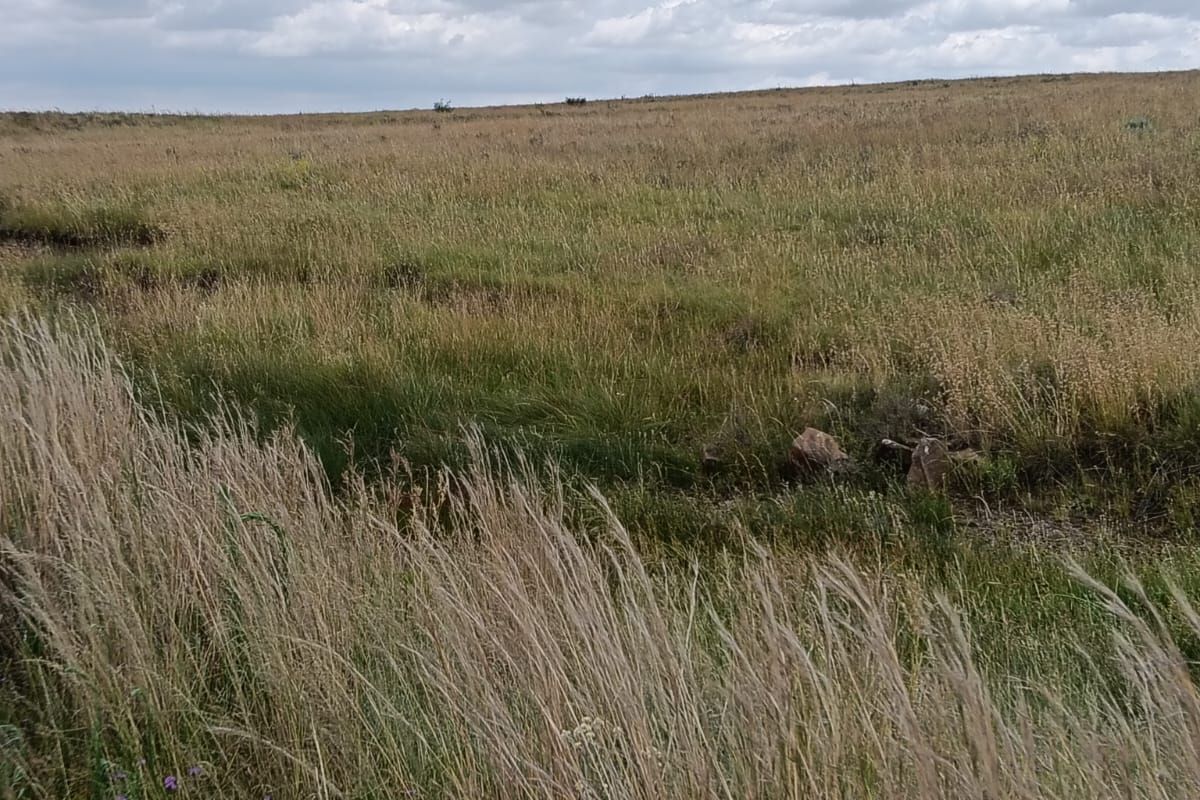 Excellent Cattle Farm - Photo 5
