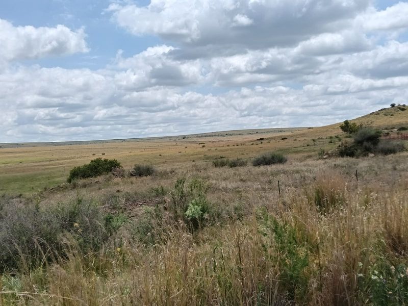 Excellent Cattle Farm - Photo 10