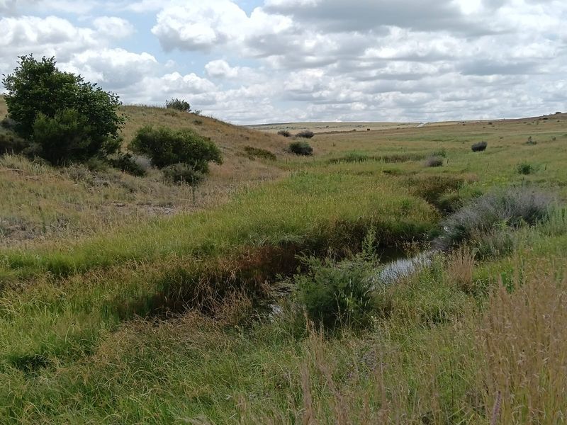 Excellent Cattle Farm - Photo 7