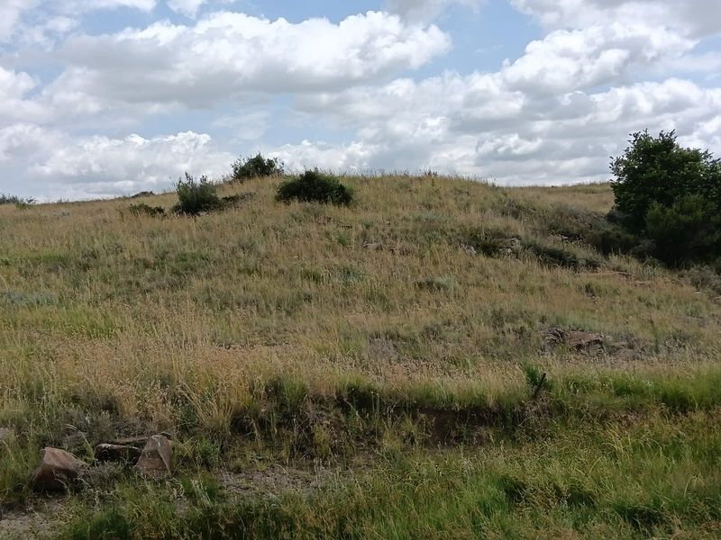 Excellent Cattle Farm - Photo 6