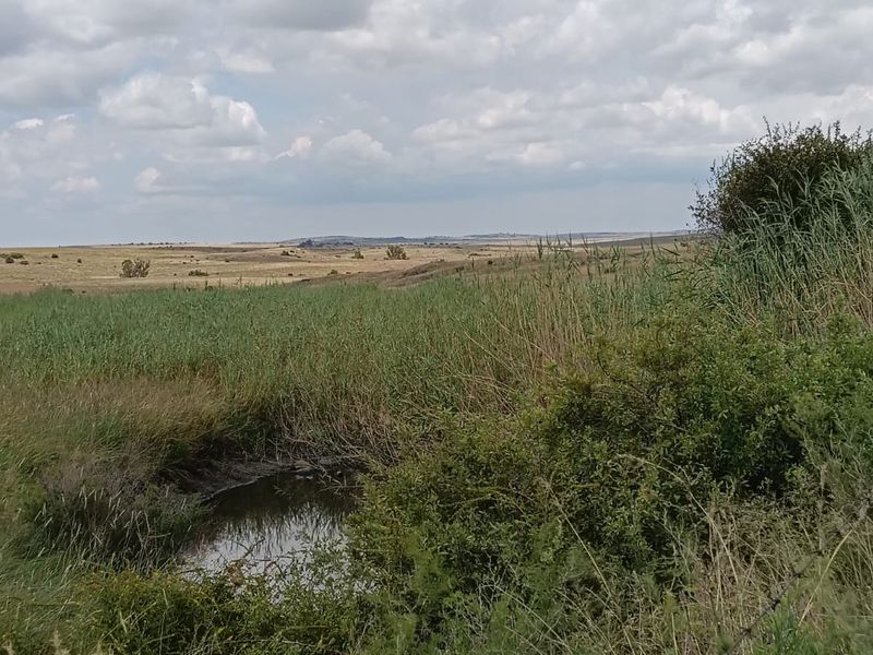 Excellent Cattle Farm - Photo 3