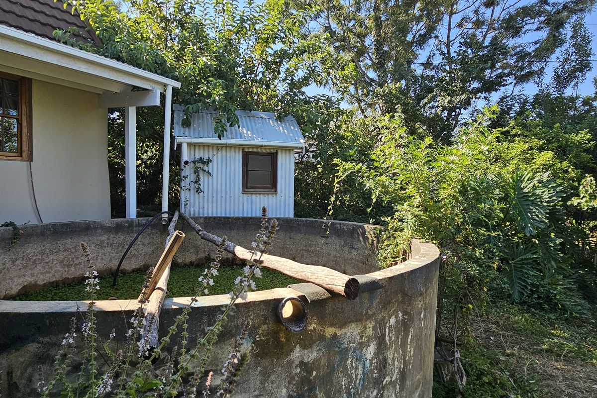 Exterior view of the property featuring a large concrete water tank, a small corrugated metal utility shed, and established garden surroundings.
