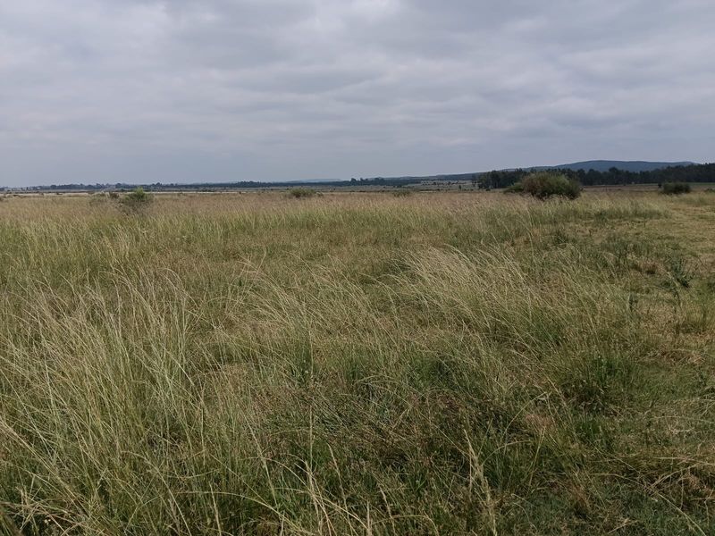 Livestock Farm - Photo 9