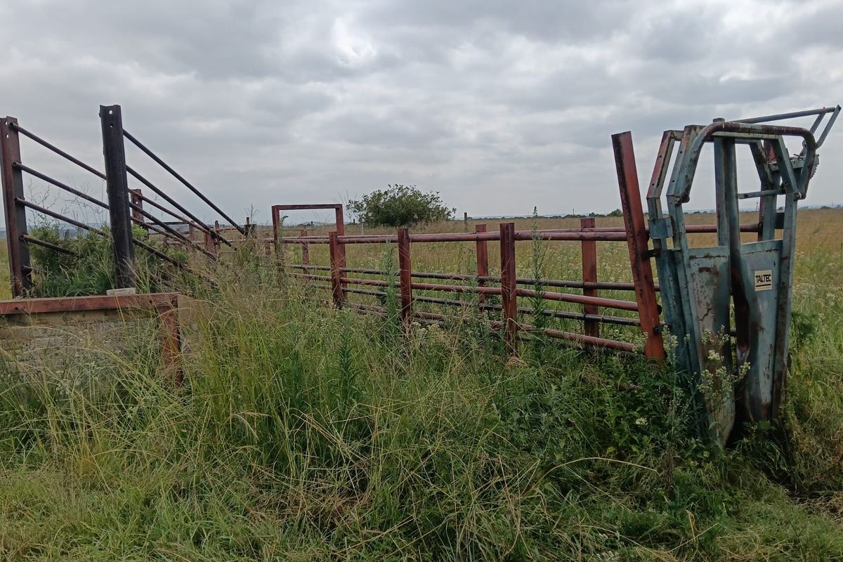 Livestock Farm - Photo 2