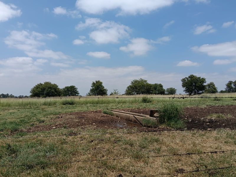 Livestock Farm - Photo 10
