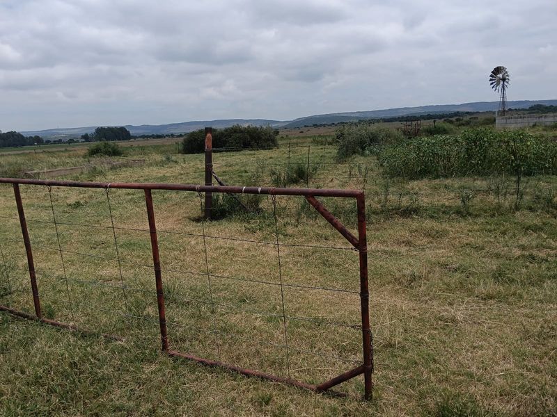 Livestock Farm - Photo 8