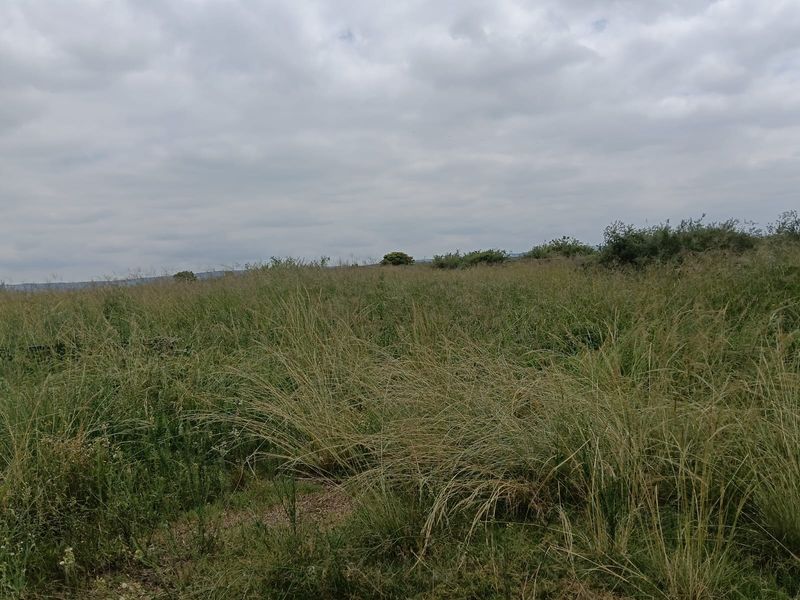 Livestock Farm - Photo 7