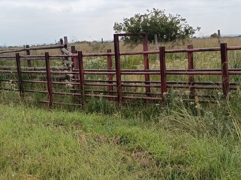 Livestock Farm - Photo 3
