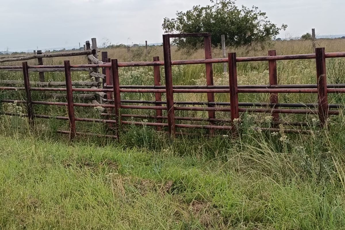 Livestock Farm - Photo 3