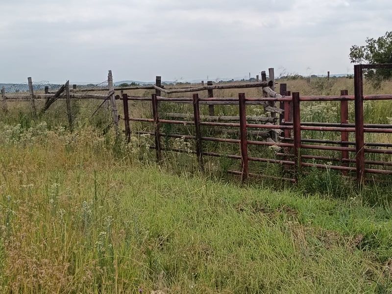 Livestock Farm - Photo 4