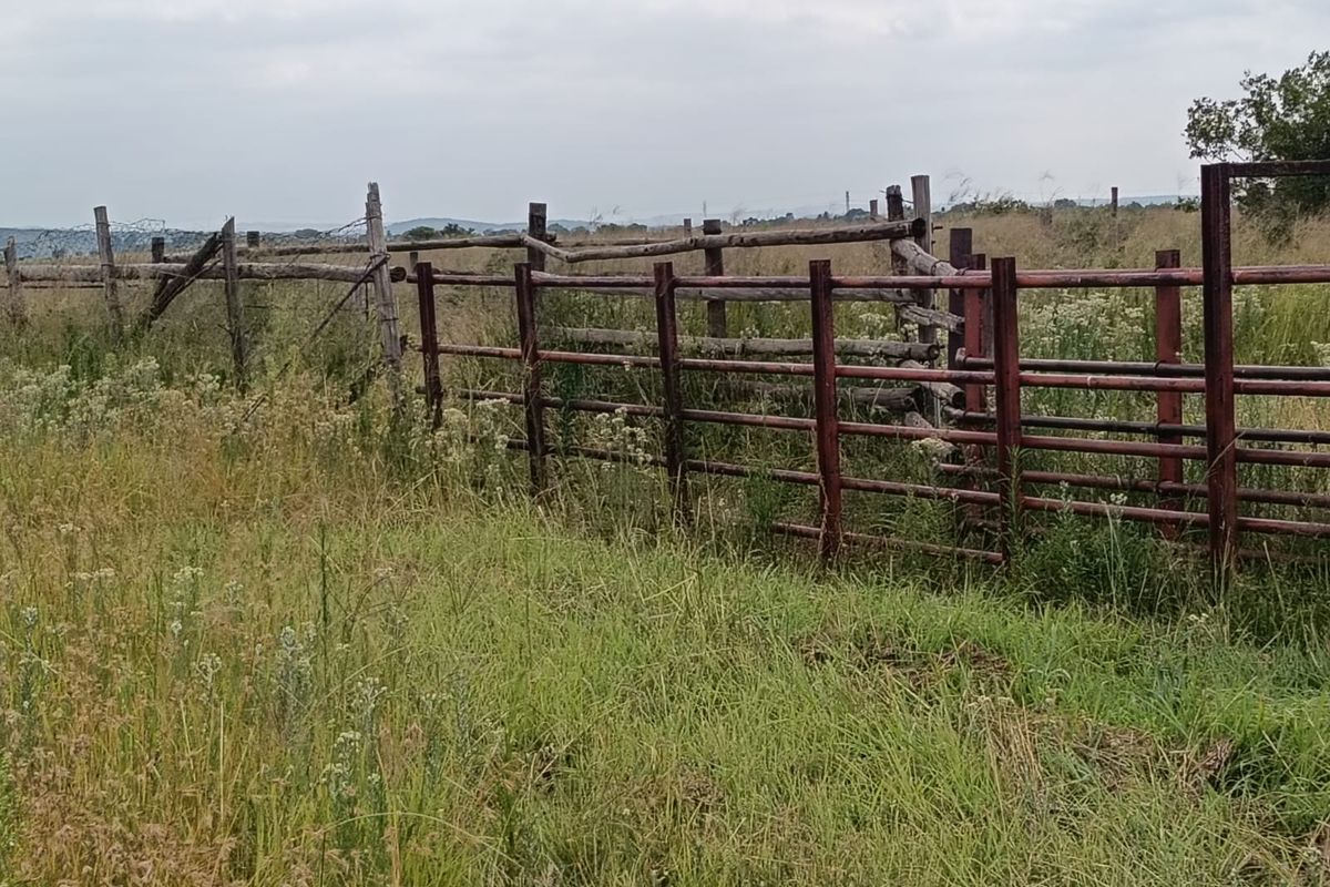 Livestock Farm - Photo 4