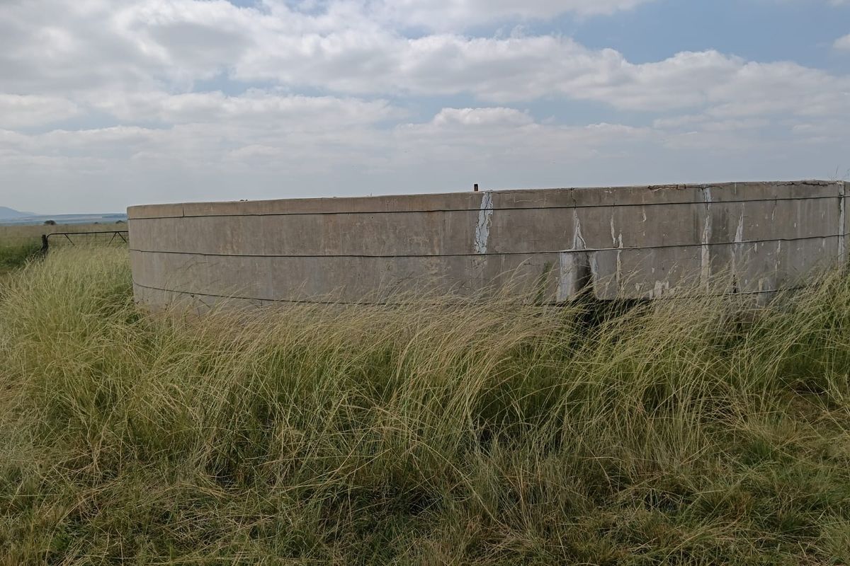 Livestock Farm - Photo 5