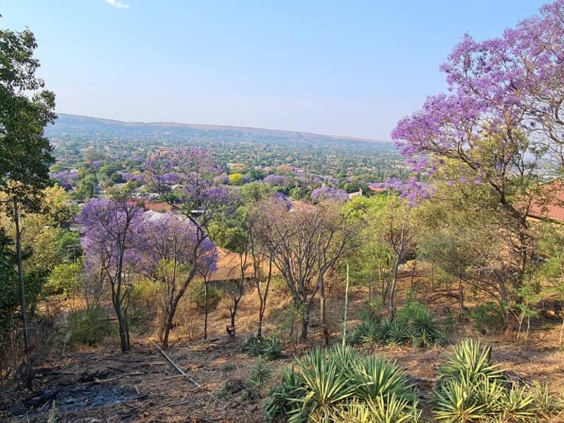 Design and Build your Dream with panoramic views - Photo 7