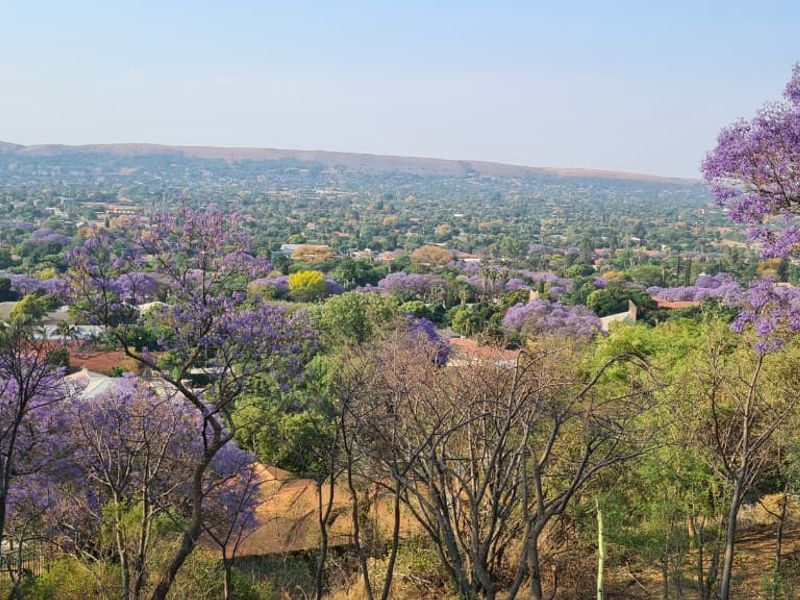 Design and Build your Dream with panoramic views - Photo 6