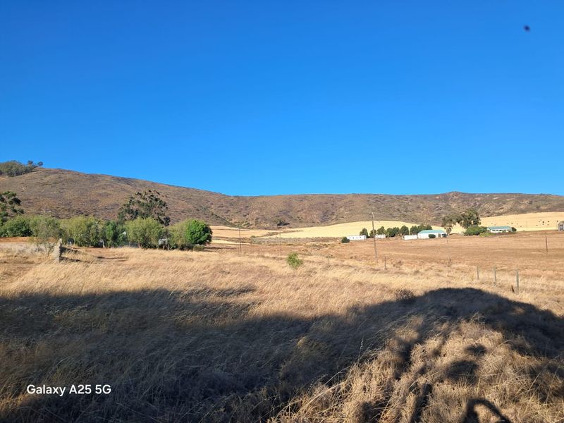 Rare erven available in this hidden town - Koringberg in the  heart of the Swartland - Photo 5
