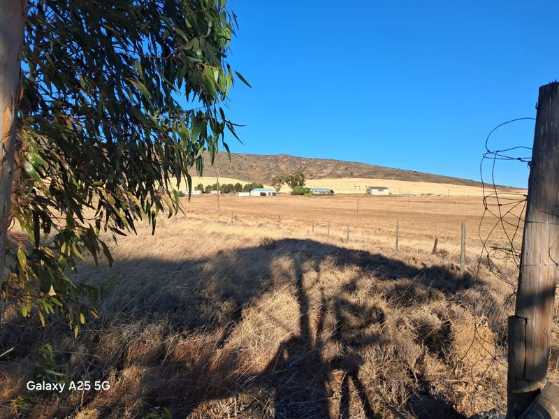 Rare erven available in this hidden town - Koringberg in the  heart of the Swartland - Photo 10