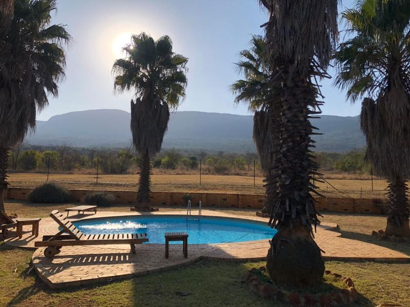 Outdoor pool area featuring a circular swimming pool with brick paving, surrounded by established palm trees and scenic mountain views.