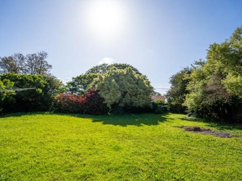 Charming Garden Flat – Available Immediately - Amalinda (Shared property) - Photo 4