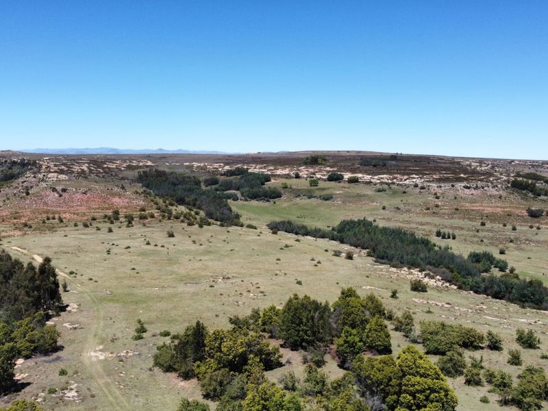 Game and Lifestyle Farm - Photo 10