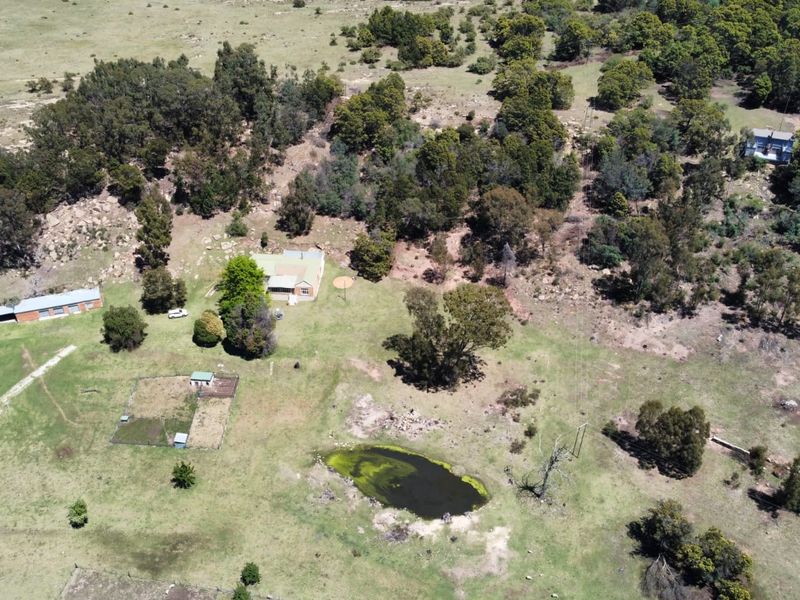 Game and Lifestyle Farm - Photo 9