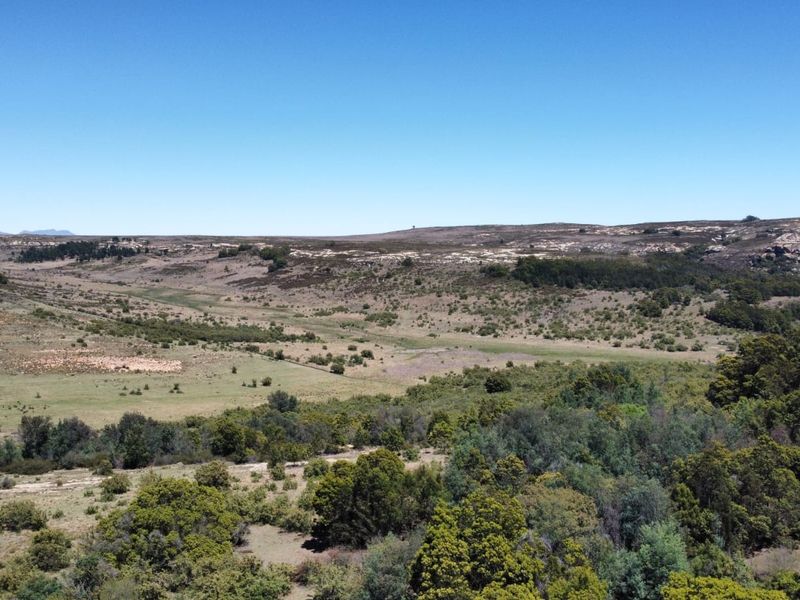 Game and Lifestyle Farm - Photo 8