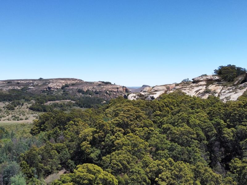 Game and Lifestyle Farm - Photo 7