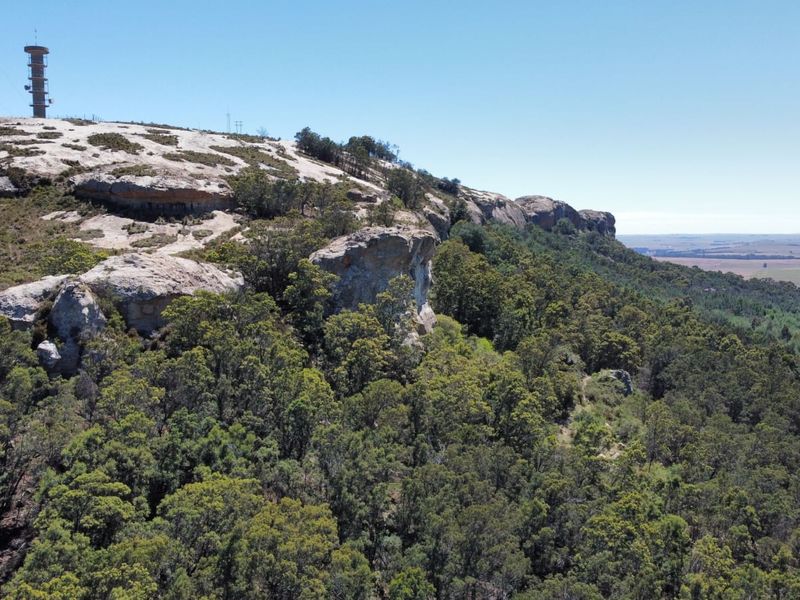 Game and Lifestyle Farm - Photo 6