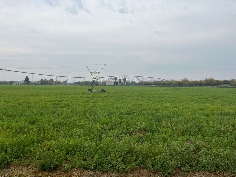 26 Ha Rivierfront Pekanneut en Lusern Besproeiingsgrond - Photo 1