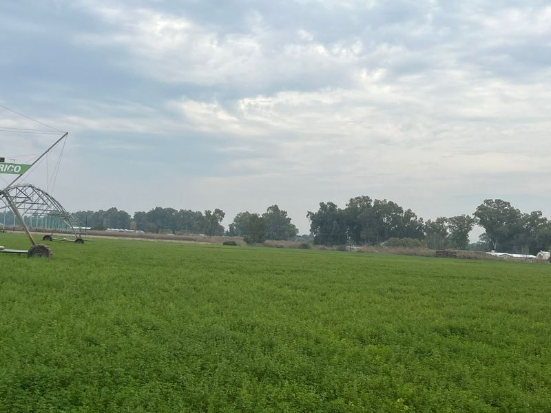 26 Ha Rivierfront Pekanneut en Lusern Besproeiingsgrond - Photo 9