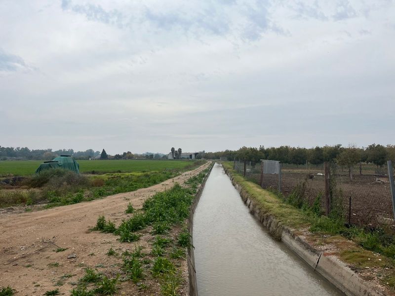 26 Ha Rivierfront Pekanneut en Lusern Besproeiingsgrond - Photo 5