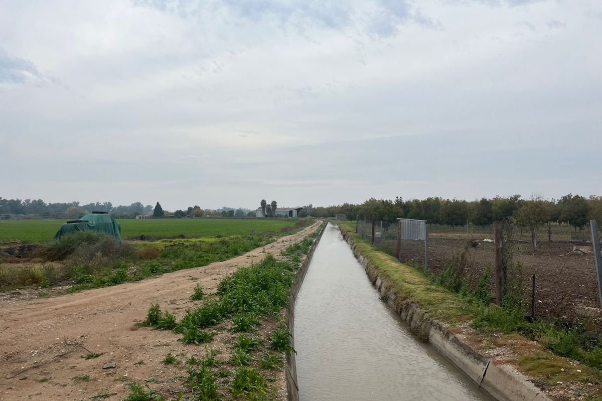 26 Ha Rivierfront Pekanneut en Lusern Besproeiingsgrond - Photo 5