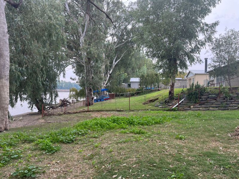 26 Ha Rivierfront Pekanneut en Lusern Besproeiingsgrond - Photo 3