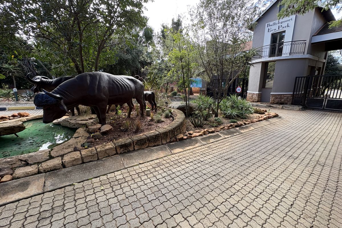 Buffelspoort Eco Estate - Photo 2