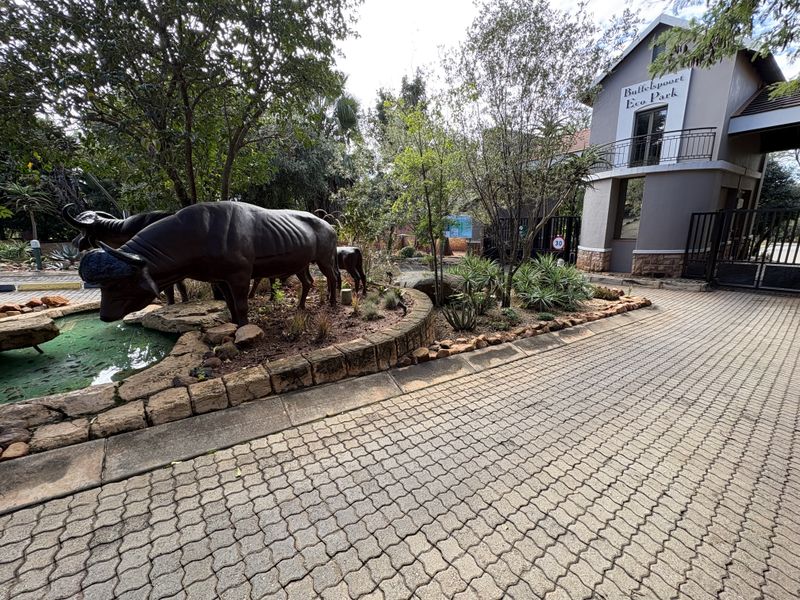 Buffelspoort Eco Estate - Photo 2