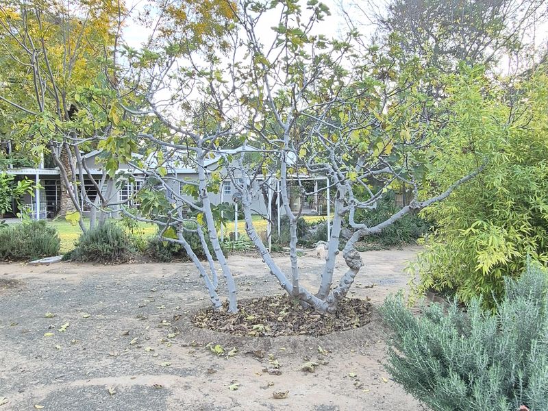 Charming Family Home - Photo 7