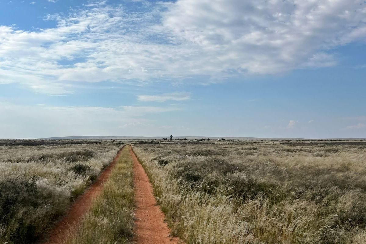 Veeplaas: Natuurike weidingsgehalte, waterinfrastruktuur en potensiaal vir uitbreiding - Photo 5