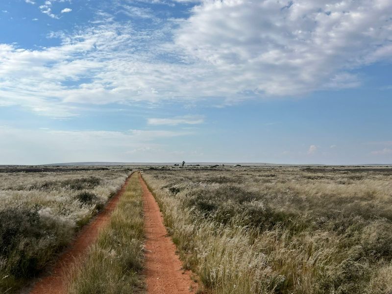 A wide-angle view of the expansive farm landscape featuring a natural dirt track leading through the open veld under a clear sky.