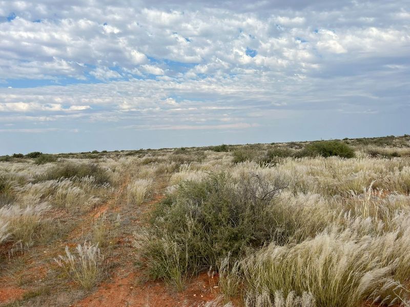 Expansive view of the natural farm landscape featuring native grasses and shrubs under a cloudy sky.