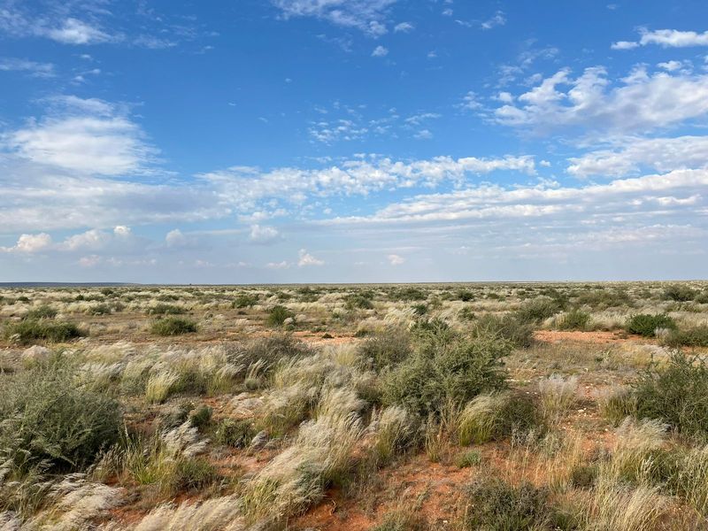 Expansive view of the open farm landscape featuring natural veld vegetation under a clear blue sky.