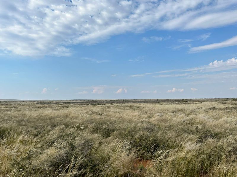 Expansive view of open veld and natural grassland landscape under a clear blue sky.