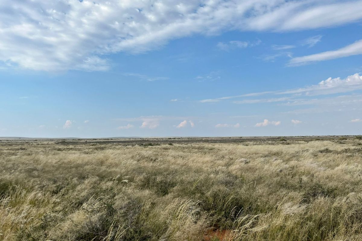 Expansive view of open veld and natural grassland landscape under a clear blue sky.