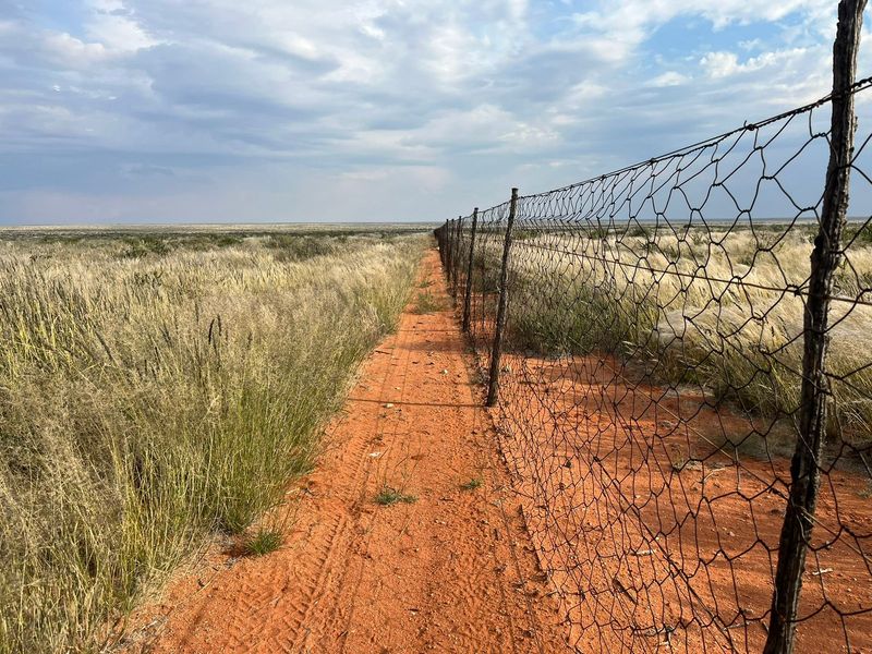 Expansive view of the farm landscape featuring a long stretch of wire mesh fencing and natural veld vegetation under a cloudy sky.