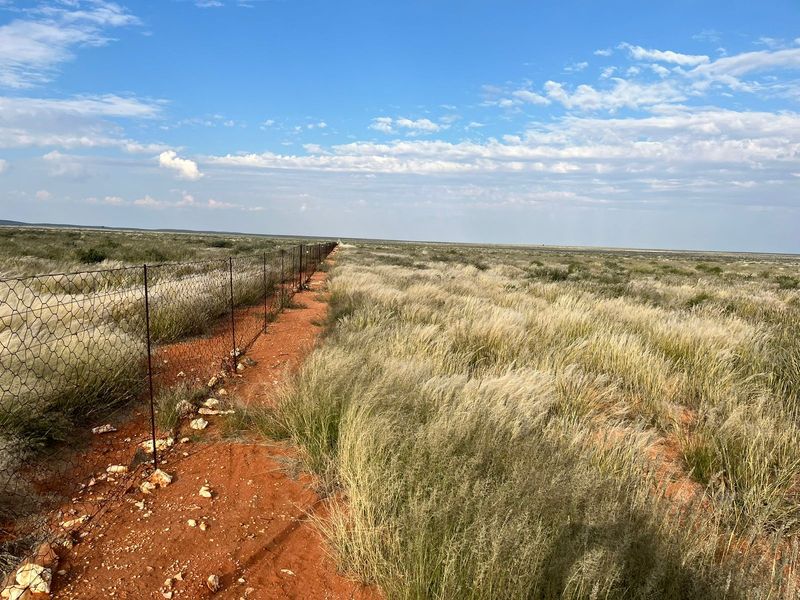 Expansive view of open farm land featuring natural dry grasses and perimeter wire mesh fencing under a clear blue sky.
