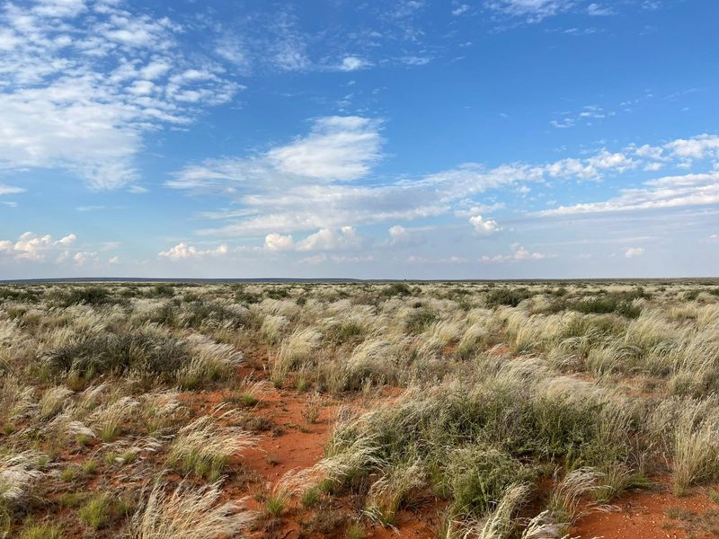 Expansive view of open veld landscape featuring native grasses and red soil under a clear blue sky.